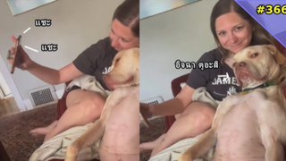 รวมคลิปตลกๆ : เรามันกระดูกคนละเบอร์เจ้ามานุด!!