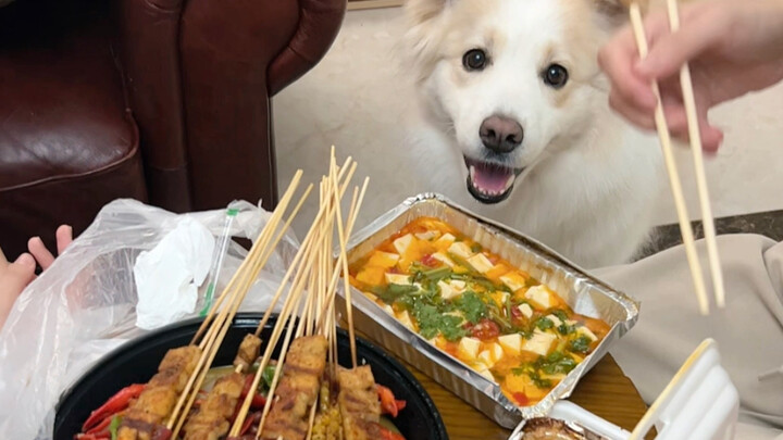 ลูกหมาห้ามกินอาหารปิ้งย่างนะ คุณพี่ไม่เคยทำให้เราต้องเป็นห่วงเรื่องการเรียนเลยตั้งแต่เด็กจนโต แต่พอไ