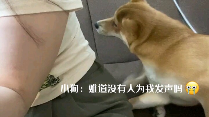 Xiu Gou: Get up, you’re stepping on my foot.