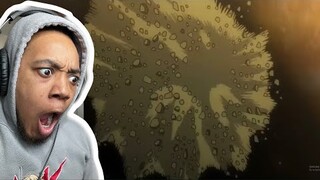 SAITAMA IS A MENACE!!! TC3 Reacts to One Punch man Fan Animation Serious Table Flip & Sneeze!