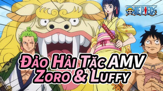 Đảo Hải Tặc AMV
Zoro & Luffy