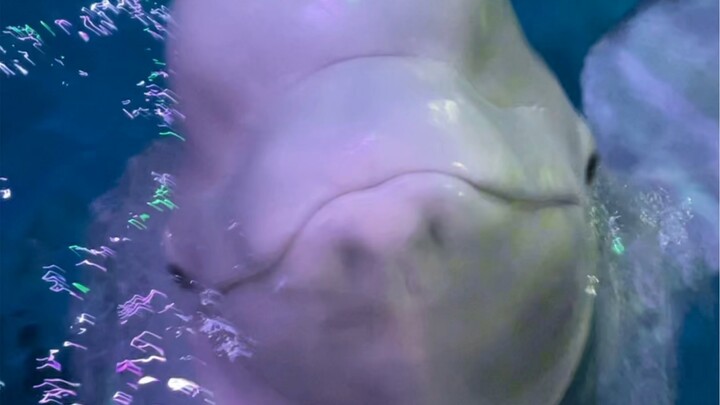 Kita ikut-ikutan juga deh.