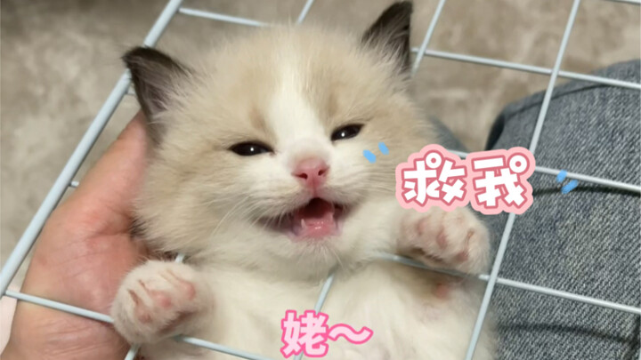 لا بأس أن تكون غبيًا بعض الشيء، إنقاذ حياتك هو أهم شيء