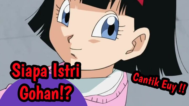 Siapa Istri Gohan ?!? Apakah Anak Mr. Santan ?!! #DragonBallSuper