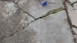 Sản xuất mô hình thiệt hại trong trận chiến