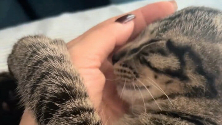 มันร้องแค่สองเสียงนี่ก็ทำให้เพื่อนฉันหลงใหลไปแล้ว