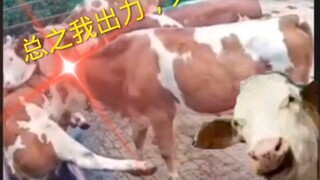 ขอแค่ฉันลงแรง ทุกคนก็จะมีอาหารกิน