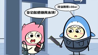 机场每一条离谱规定都可能有一起空难