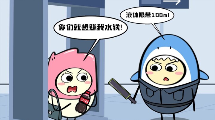 Every absurd regulation at the airport could potentially lead to an air disaster.