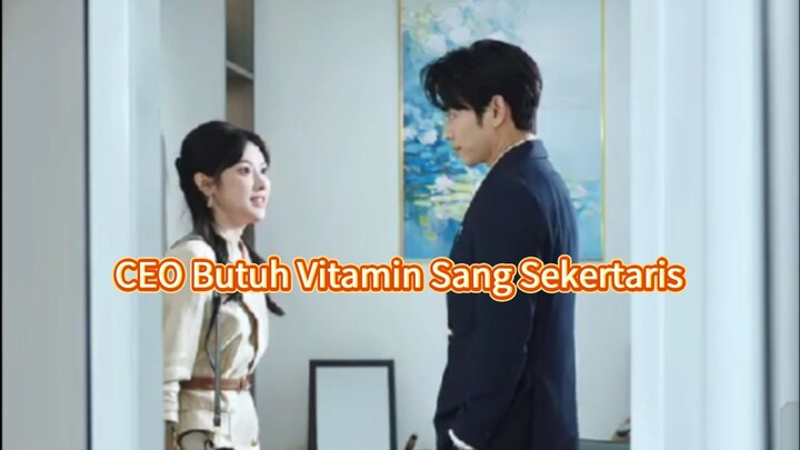 CEO Butuh Vitamin Sekertaris Eps. 13  Sub Indo