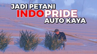 CARA JADI PETANI DI INDOPRIDE AUTO KAYA - GTA V ROLPLAY