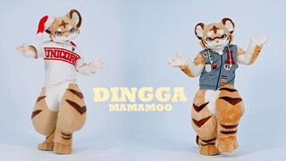 DINGGA dengan Harimau Kecil! DINGGA! tidak senang?