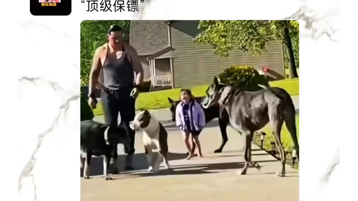 Funny Moments on WeChat Moments Series, "Top Bodyguard"