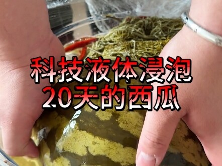 مضغ الجدول الدوري