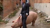Can't resist the guys who can ride on pigs