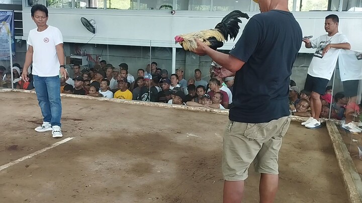 cardona cockpit loss