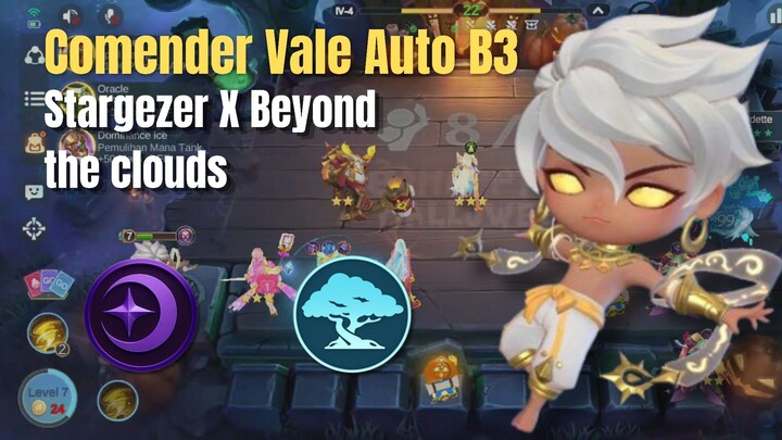 MCGG | COMENDER VALE AUTO B3