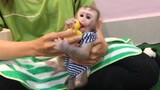 Monkey Mino entertainment with mommy