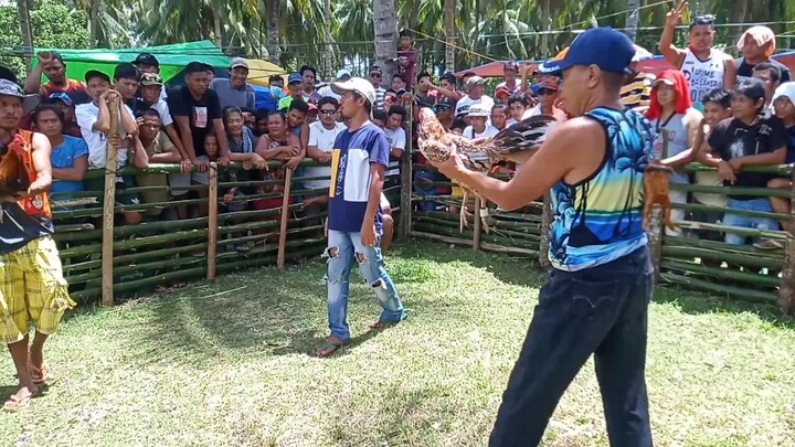 3xwinner na mga boss ating spanggol!