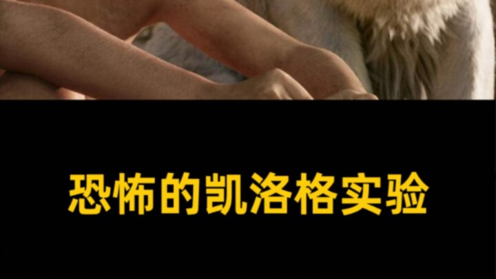 การทดลองอันน่าสะพรึงของเคลล็อกก์