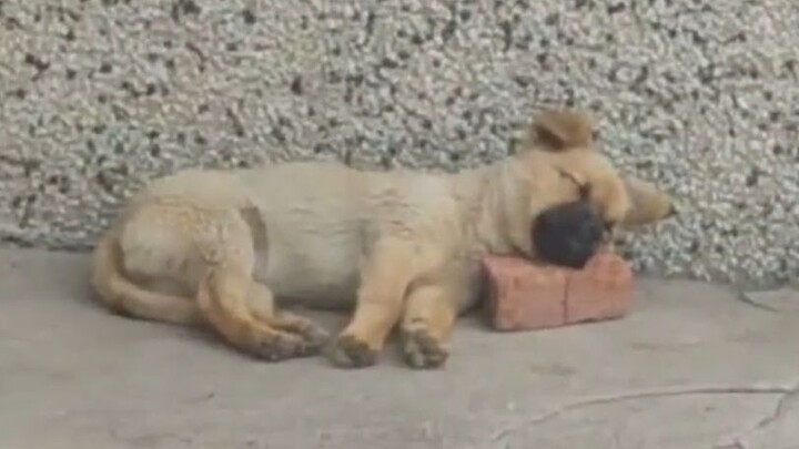 “Trẻ trung, giác ngộ lớn!!”