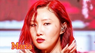 因腰伤提前结束打歌！MAMAMOO华莎《Maria》一键换装混剪