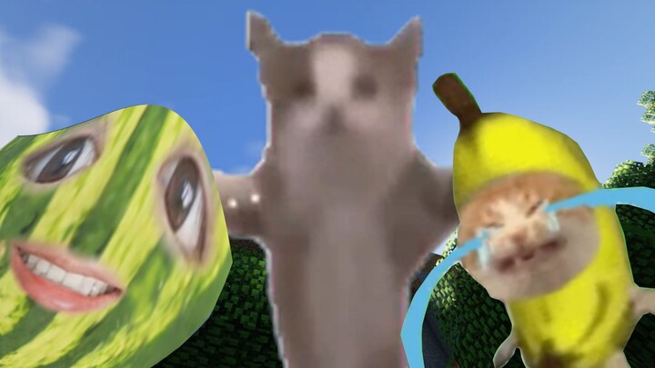 Banana Cat saves Happy Cat, who was scared by the stinky Watermelon Head, and everyone is happy!
