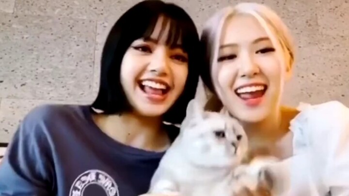 BLACKPINK's Jennie Park and Lisa spoke Chinese throughout the entire livestream!