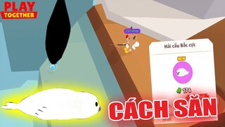 Bất Ngờ Thời Gian, Vị Trí Xuất Hiện Cá Hải Cẩu Bắc Cực, Cách Săn Thành Công Nhất | Play Together