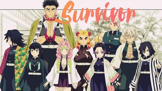 Survivor (The pillars)  Demon Slayer AMV