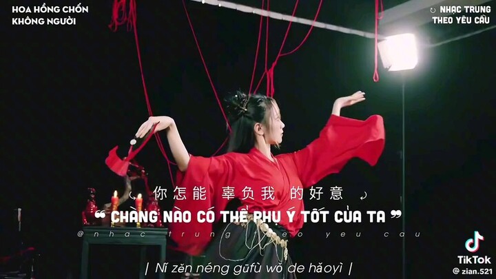 hoa hồng chốn không người