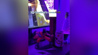 As you can see, we have a lot in common room RoomTour aesthetic crystals squishmallow plants ghibli kirby gamer ps5 dragonball onepiece