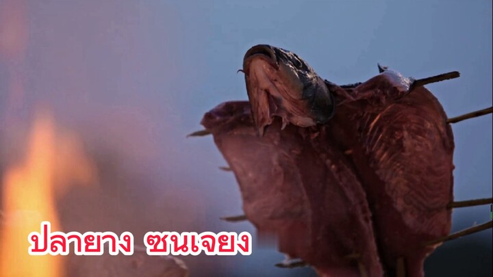 ปลาย่าง ซินเจียง