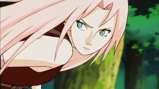 [tất cả sakura] bao gồm Sao Sakura Ming Sakurai Sakura Li Sakura Thẻ Sakura Scorpion Sakura Itachi S