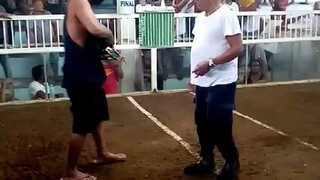 Throwback!Possum Sweater Win!! Pilay tarian pero nanalo pa!!  #PossumSweater. #WinningLine. #Sabong