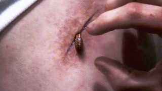 Kí Sinh Trùng Biến Đổi Con Người Thành Quái Vật - Tóm Tắt Phim : Kí Sinh Dưới Da | The Thaw