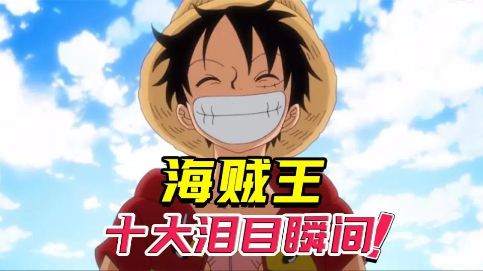 纪念海贼王动画1000话 那些我们感动泪目故事 Bilibili