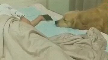 A netizen pretended to fall asleep while playing with his mobile phone and took secret photos of his