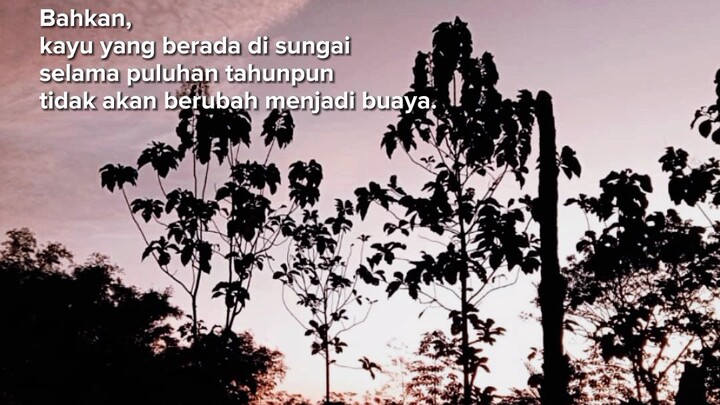 statuswa