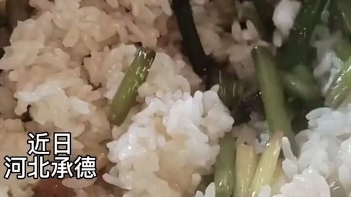 The dog owner had originally planned to feed the leftovers to the dog, but ended up tasting them and