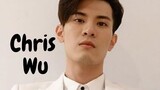 CRIS WU Profile fan clip
