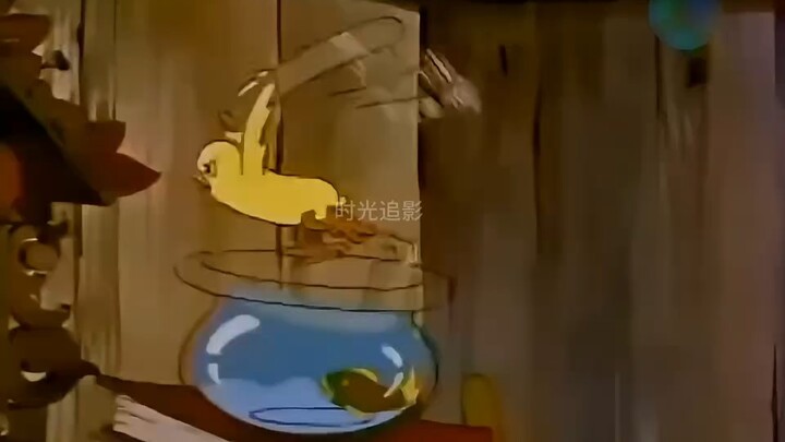 [Bilibili Film & TV] Video pack is ready—come check it out!