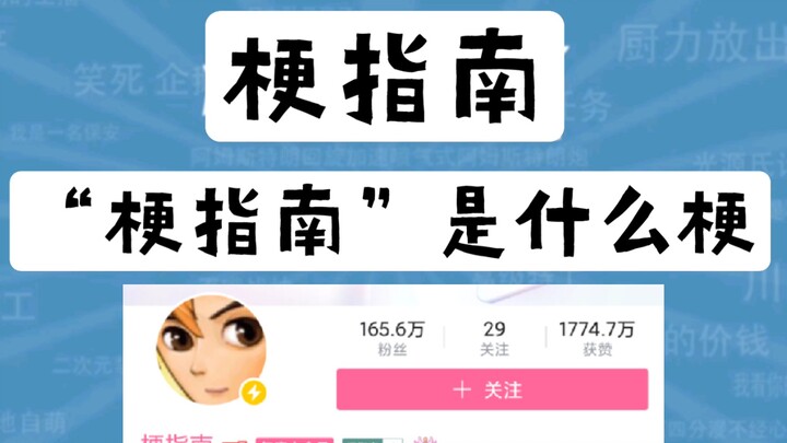 “梗指南”是什么梗【梗指南】