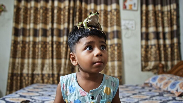 আরহাম ব্যাংঙ মতি
