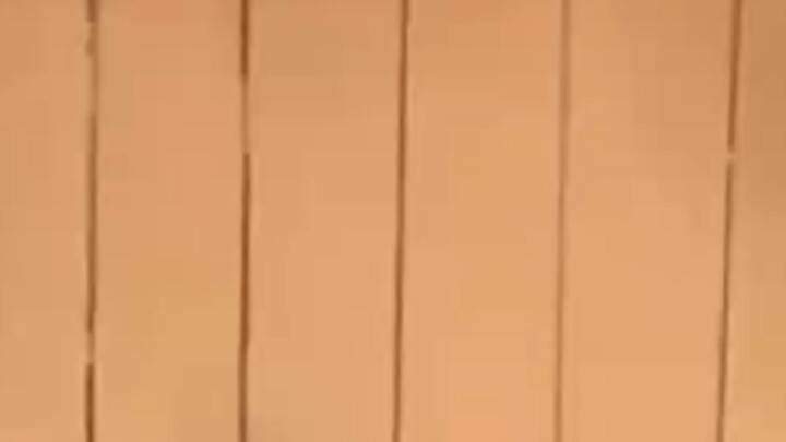 pagar kayu