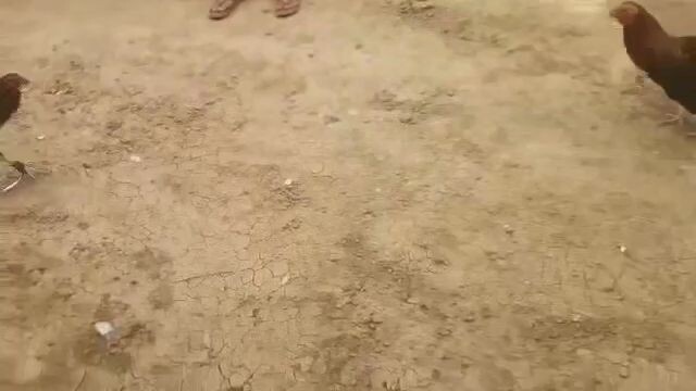 5k sweater lang malakas