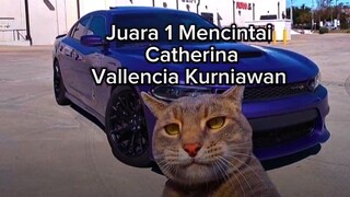 ErineJkt48