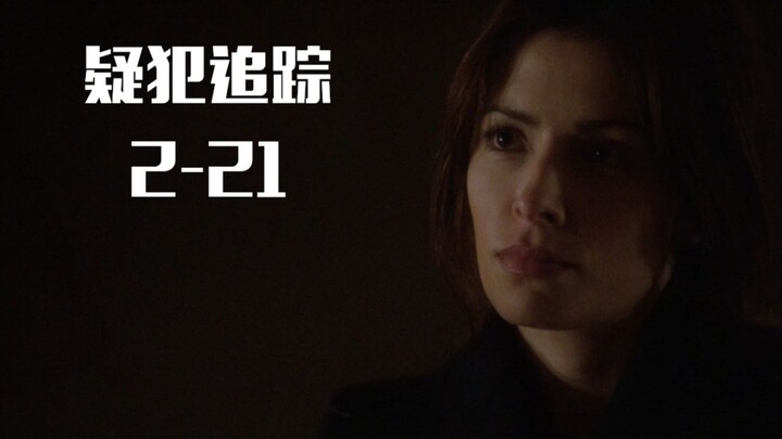 Arguably the most information-dense American TV series, "Person of Interest" is riddled with plot tw