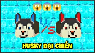 CUỘC CHIẾN CỦA NHỮNG CHÚ CHÓ HUSKY 🐶 MEOWPEO CÙNG 500 ANH EM ĐẠI CHIẾN HUSKY MINI WORLD MINI GAME