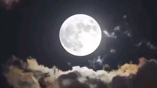 The Moon